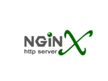 Nginx HTTP Server Logo